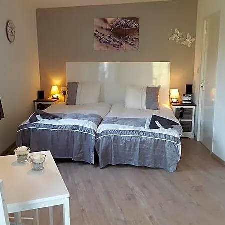 De Witte Molen 4* קרננבורג