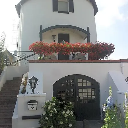 לינה וארוחת בוקר De Witte Molen