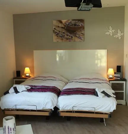 De Witte Molen 4*