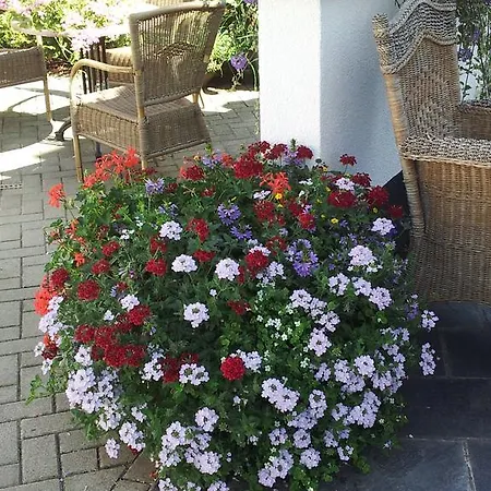 Bed & Breakfast De Witte Molen Kranenburg (North Rhine-Westphalia)
