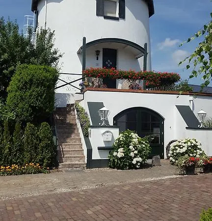 לינה וארוחת בוקר De Witte Molen