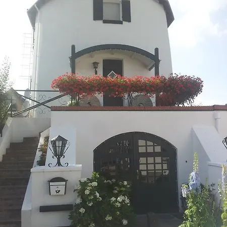 לינה וארוחת בוקר De Witte Molen