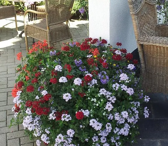 Bed & Breakfast De Witte Molen Kranenburg (North Rhine-Westphalia)