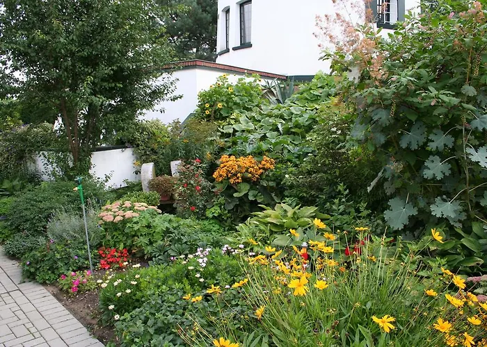 De Witte Molen 4* Kranenburg (North Rhine-Westphalia)